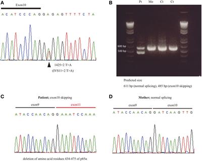 Enhanced AKT Phosphorylation of Circulating B Cells in Patients With Activated PI3Kδ Syndrome